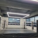 당진복싱히어로짐 이미지