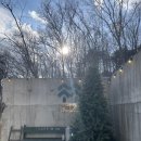 림카페 | 영종도 빈티지 감성 정원 카페, 카페 림 방문후기