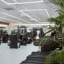 머슬 타임 이미지