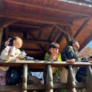 세움아이유치원 이미지