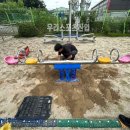시소