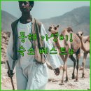 뉴비치모텔 이미지