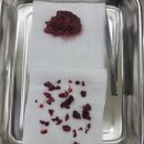 도그앤피플 동물병원 | 외과전문 메디칼센터 도그앤피플동물병원 – 믿고 맡길 수 있는 전문 수술 병원