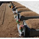 천지인장묘 이미지