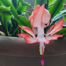 온수어르신복지관 이미지