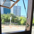 양주카페 하티베이크샵 찾아가는 길 메뉴 추천 가격 후기