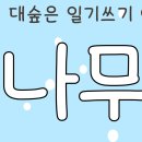 조코비치도 소다팝을 추네 ㅎㄷㄷ 이미지