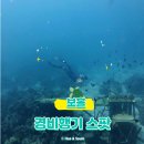 머물다 그섬에 | 보홀 경비행기 스팟 프리다이빙 후기 ｜경비행기 포인트 위치·수심·촬영 팁 총정리