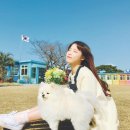 제주의사계 이미지