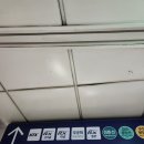 선돌밧데리 | 영월로 별자리 여행가기