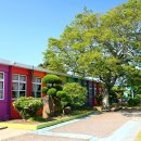 무지개가 피어나는 이미지