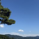 가구깡 | #19-2 신혼 부부 가구 고르는법_가구깡/가구단지/한샘/리바트 매장 방문후기 및 가구 준비 찐후기