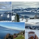 6356 | 스위스 루체른 리기산 산악열차 탑승 후기