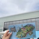 그로우피플 | 2025 올리브영 페스타(내돈내산) 찐 후기!