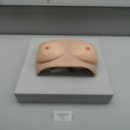 을지대학교 범석의학박물관 이미지