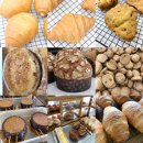 new 천연발효종 브런치 베이킹(5~6월/8주) | [공지] [모집] 6월 수업공지 - 크랙소금빵 2종 / 클래식 파네토네 / 손크루아상, 크루키, 초코칩쿠키...