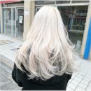 3531 | 미용실 감각적인 엘포엘헤어 대전둔산점