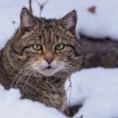 Latest News Reading 이미지