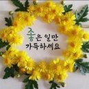 축복이 되는 노년 가꾸기 이미지