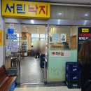 서린빌딩 | 광화문 밥집 서린낙지 매콤한 낙지볶음과 베이컨쏘세지 솔직 후기