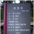 한반도 리버펜션 이미지