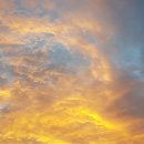 복상골낚시터 이미지