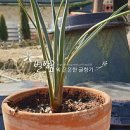 조슈아농장 이미지