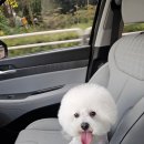 아이멍쥬 네이버블로그