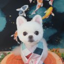 문현동물병원 이미지