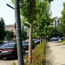 효곡동 행복 이미지