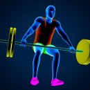 바디플로우짐 이미지