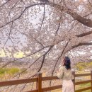 냥 | 네이버 블로그 수익 만들기 재능냥비 재하하우스 냥이유 강의 후기