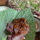 강앤바다 이미지