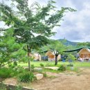 덕산수목원 이미지