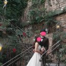 지 ·엠 ·지 이미지