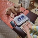 이투누리 | 나영근대표님의 별나고별난 물리치료사 북토크 다녀온 후기