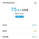 2025-03월 강릉 가족여행 (애견동반 세인트존스호텔, 강릉맛집 추천, 강릉카페 투어 후기)