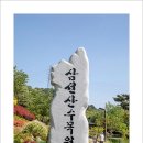 당진정미 삼선산 수목원 / 운산 샤스타데이지 이미지