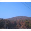 도담초등학교 이미지