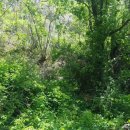 영남면사무소 이미지