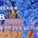 구로-구로-구로-1633 이미지