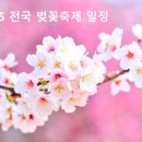 벚꽃 이미지