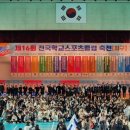 세심태권도 이미지