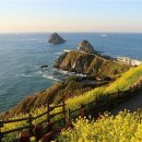 YOLO갈맷길 8코스 이미지