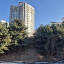 중앙동259 이미지