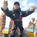 서망항2 이미지