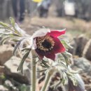 안민고개 정상 이미지