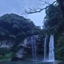 천지연산책로(폭포안) 이미지