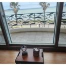 제주애견동반솔펜션 이미지