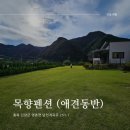 목향펜션 | 단양 애견동반가능 단체 펜션 목향펜션 내돈내산후기 (에어비앤비)